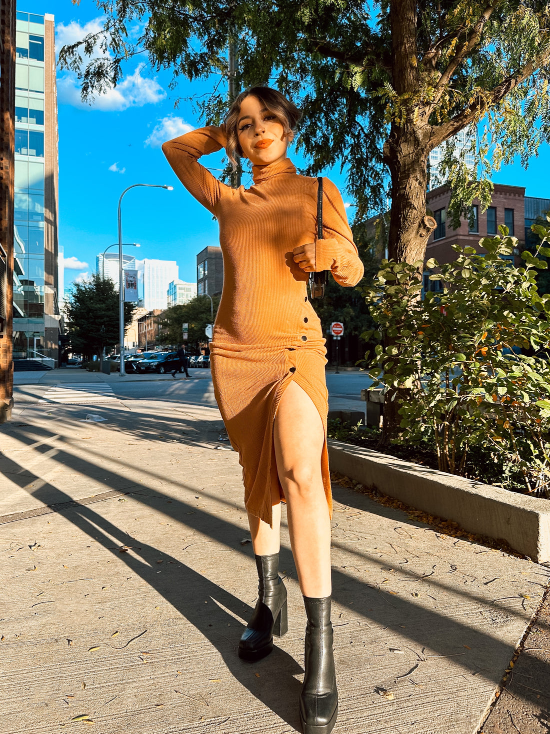 Prague Long Sleeve Turtleneck Dress