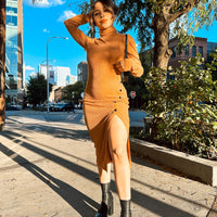 Prague Long Sleeve Turtleneck Dress