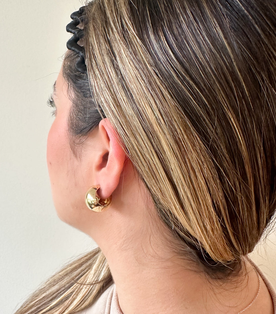 Vienna Circle Earring