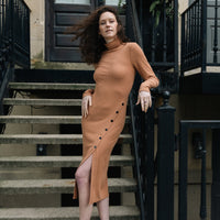 Prague Long Sleeve Turtleneck Dress