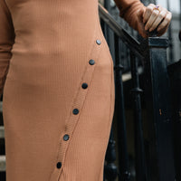 Prague Long Sleeve Turtleneck Dress