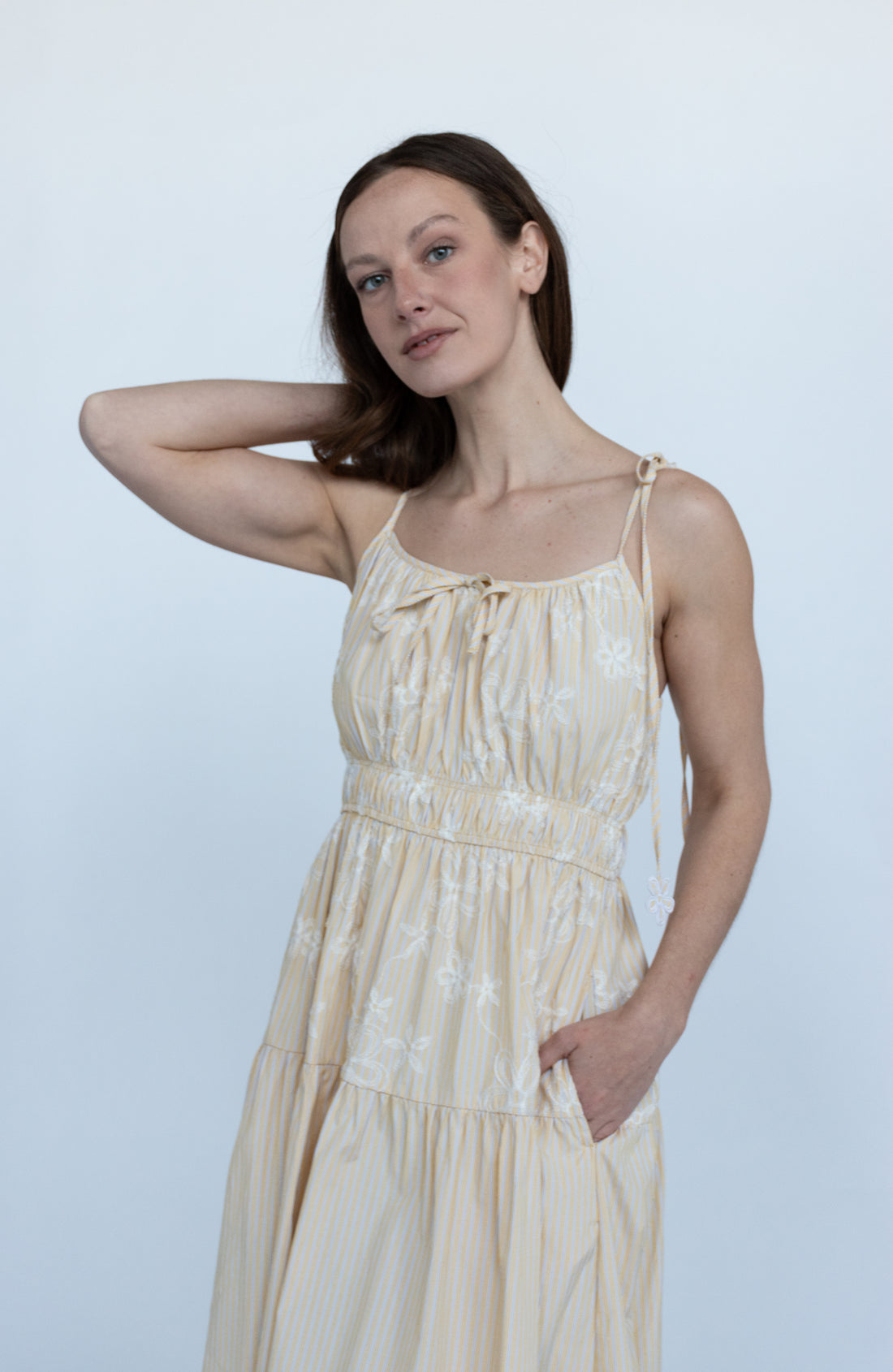 Coralie Embroidered Stripe Midi Dress